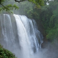6-phulapanzack