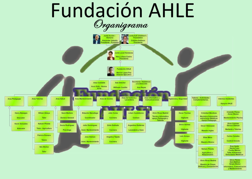 Organigramm AHLE