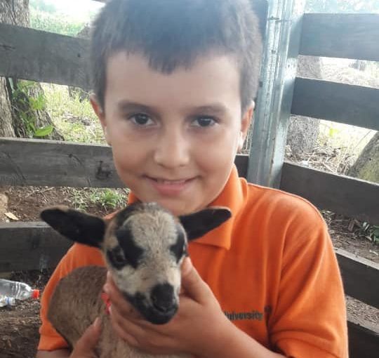 Wochenendsglück: Mähhr Schäfchen für unsere AHLE-Familie. 🐑