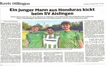 Donauzeitung Landkreis Dillingen