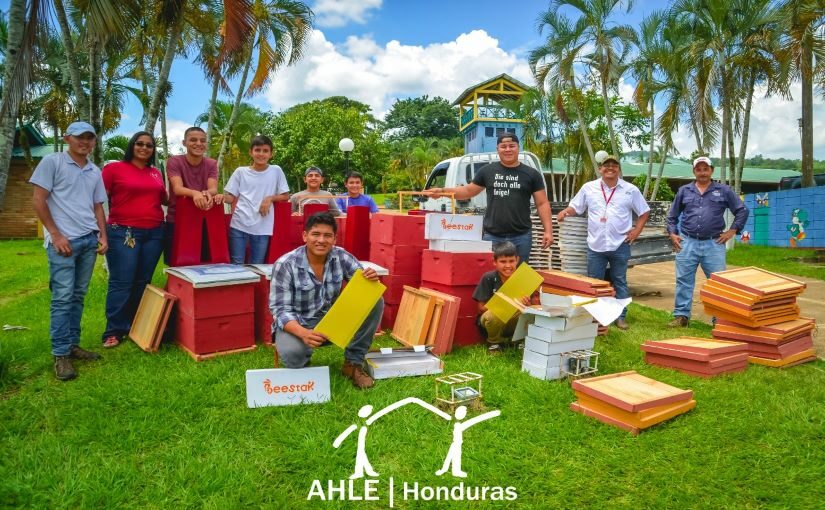 Das Bienen-Projekt in AHLE ist offizielle und in Betrieb!
